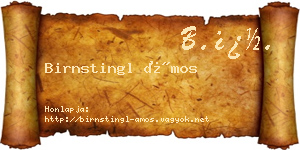 Birnstingl Ámos névjegykártya